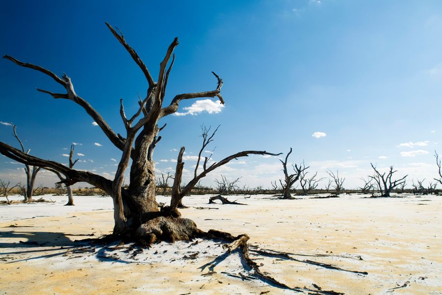 zmiany klimatyczne